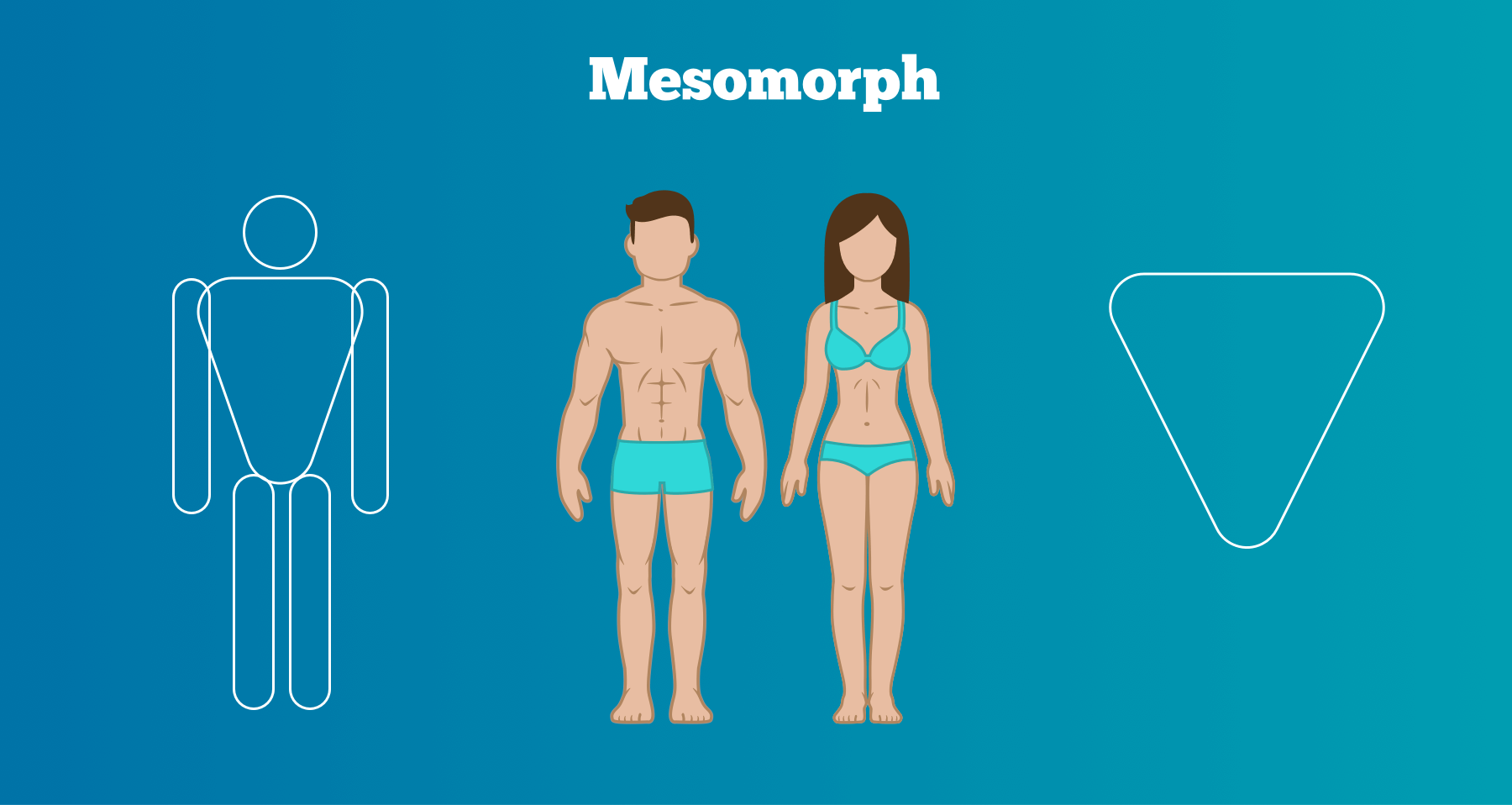 mesomorph body type