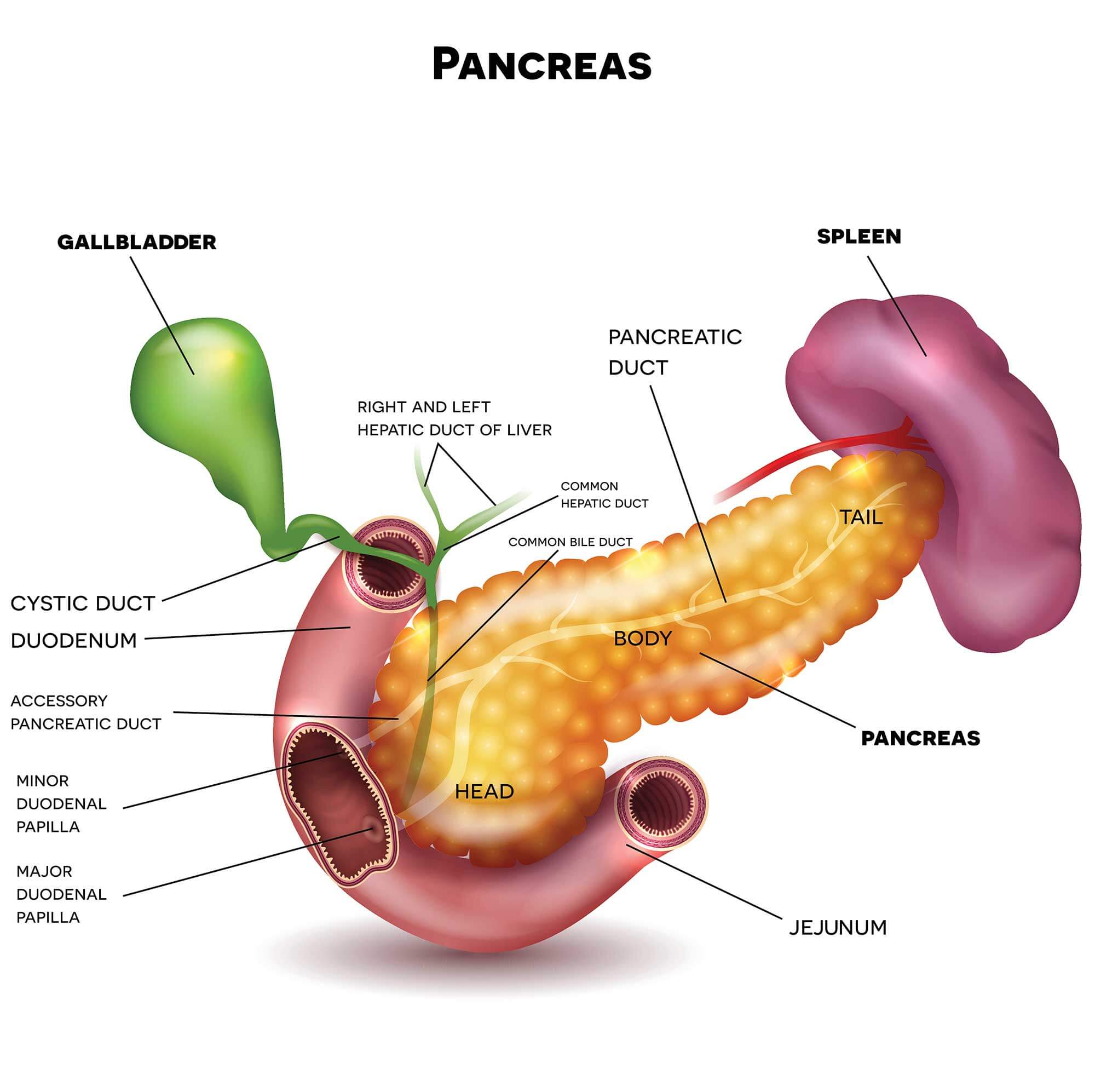 Pancreatic Cancer Surgery
